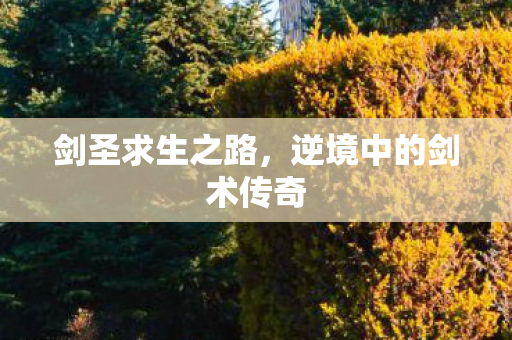 逆境中的剑术传奇图片