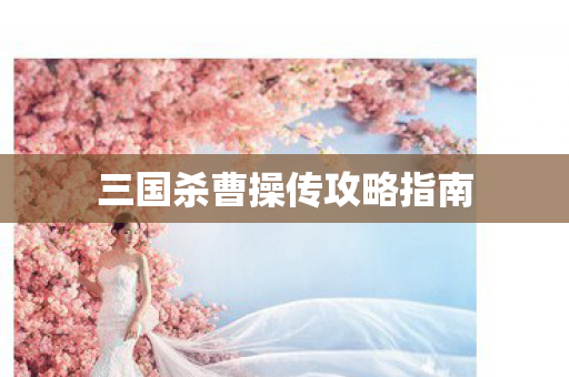 三国杀曹操传攻略指南图片