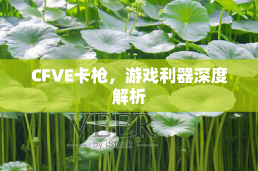 游戏利器深度解析图片