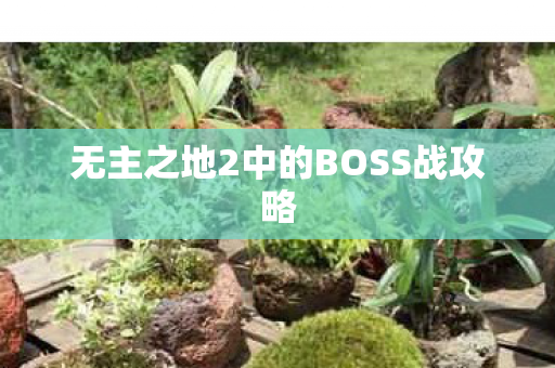 无主之地2中的BOSS战攻略图片