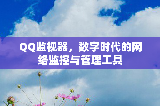 数字时代的网络监控与管理工具图片