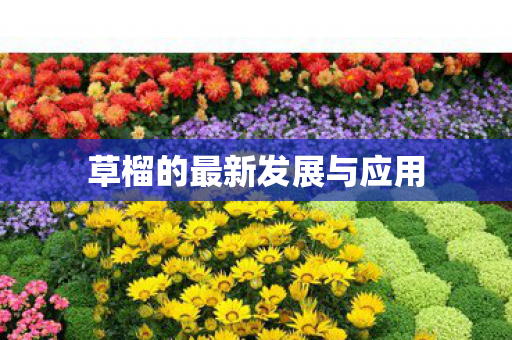 草榴的最新发展与应用图片