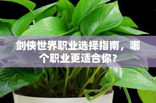 剑侠世界职业选择指南图片