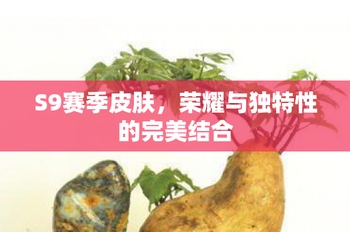 荣耀与独特性的完美结合图片