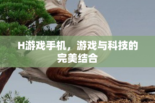 游戏与科技的完美结合图片