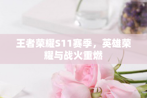 王者荣耀S11赛季图片