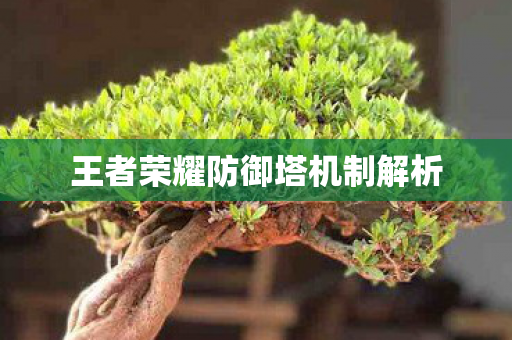王者荣耀防御塔机制解析图片
