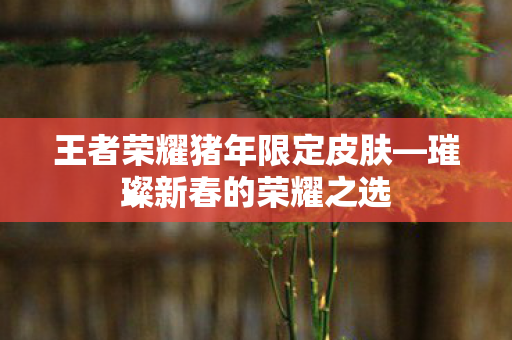 王者荣耀猪年限定皮肤图片