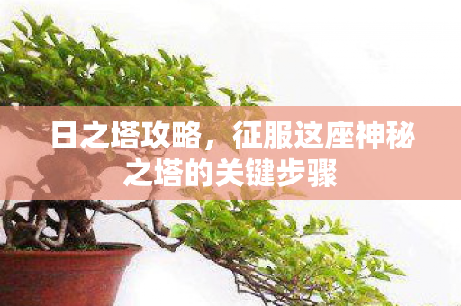 征服这座神秘之塔的关键步骤图片