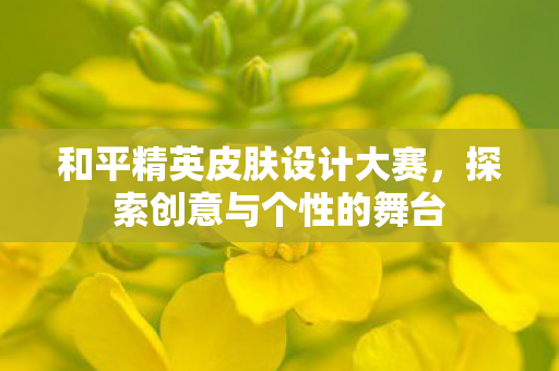 和平精英皮肤设计大赛图片