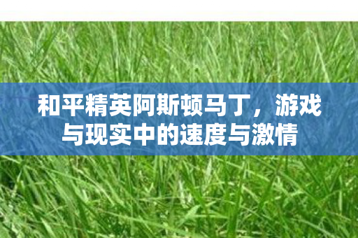 游戏与现实中的速度与激情图片