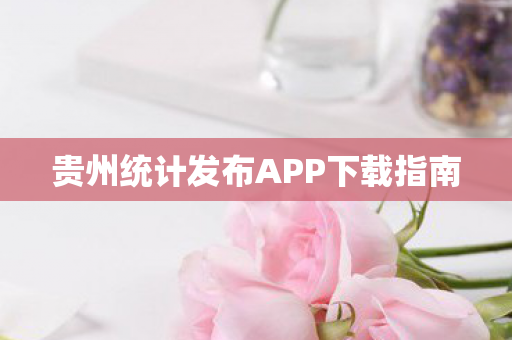 贵州统计发布APP下载指南图片