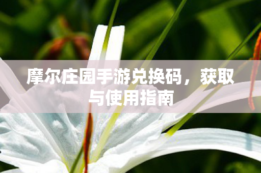 摩尔庄园手游兑换码图片