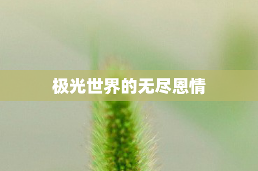 极光世界的无尽恩情图片