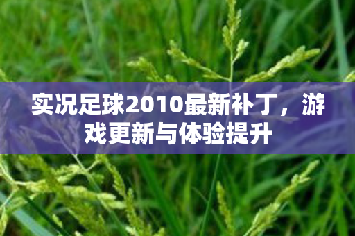 实况足球2010最新补丁图片