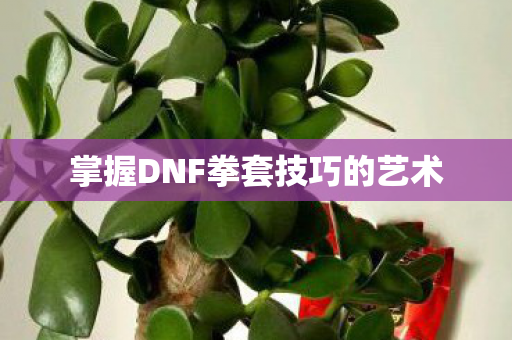 掌握DNF拳套技巧的艺术图片