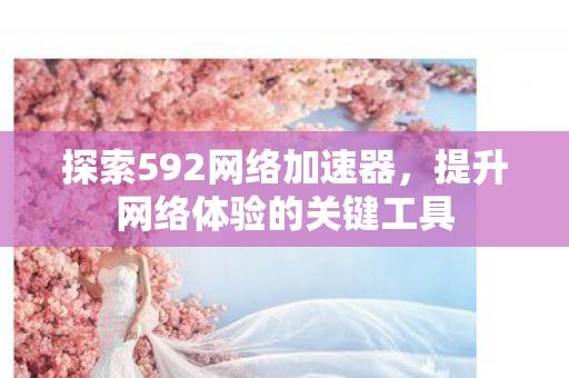 提升网络体验的关键工具图片