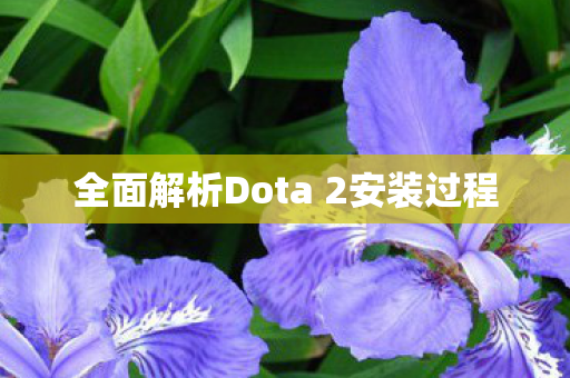 全面解析Dota 2安装过程图片