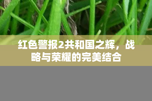 红色警报2共和国之辉图片