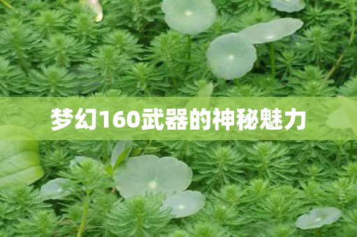梦幻160武器的神秘魅力图片