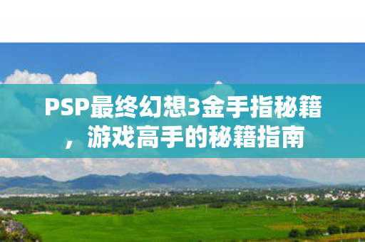 PSP最终幻想3金手指秘籍图片