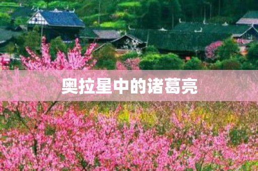 奥拉星中的诸葛亮图片