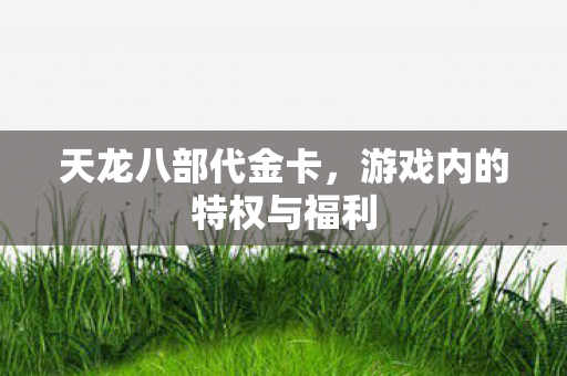 游戏内的特权与福利图片