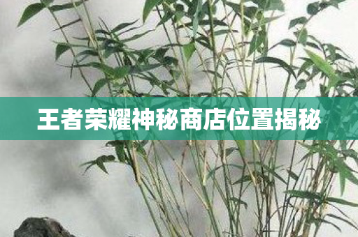 王者荣耀神秘商店位置揭秘图片