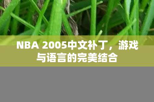 NBA 2005中文补丁图片