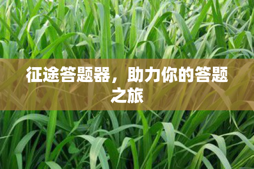 助力你的答题之旅图片
