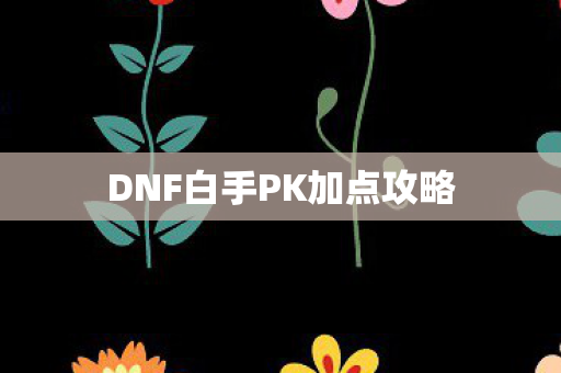 DNF白手PK加点攻略图片