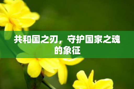 守护国家之魂的象征图片