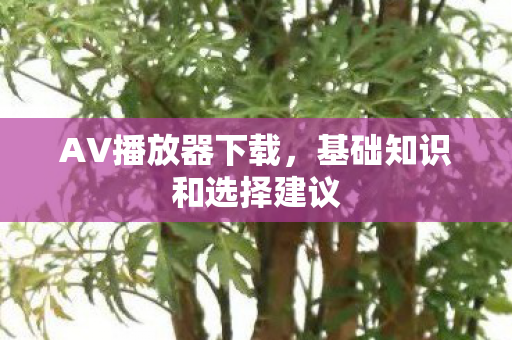 基础知识和选择建议图片
