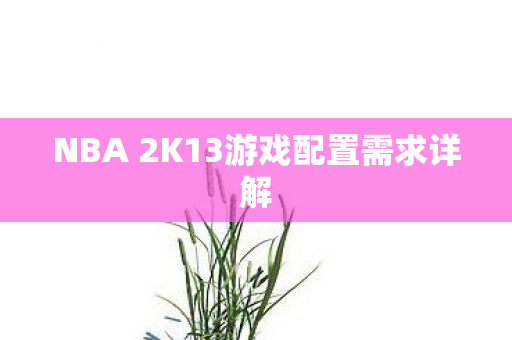 NBA 2K13游戏配置需求详解图片