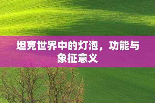坦克世界中的灯泡图片