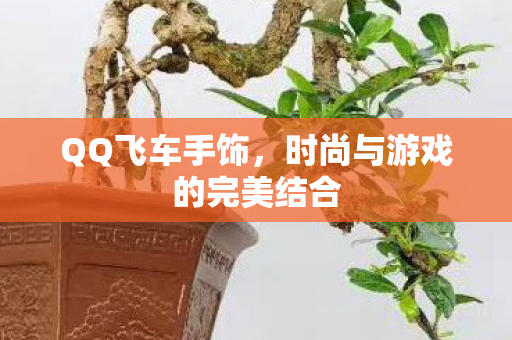 时尚与游戏的完美结合图片