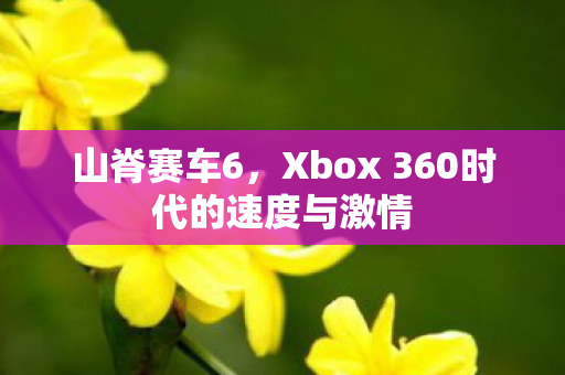 Xbox 360时代的速度与激情图片