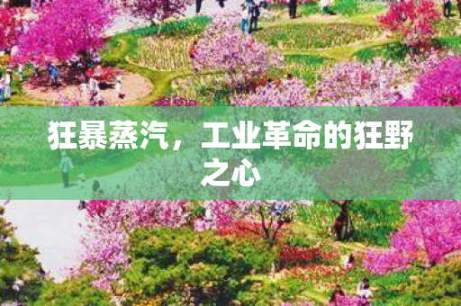 工业革命的狂野之心图片