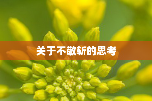 关于不敬斩的思考图片