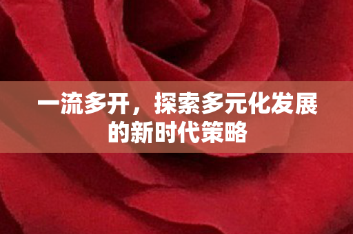 探索多元化发展的新时代策略图片