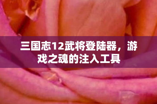 三国志12武将登陆器图片