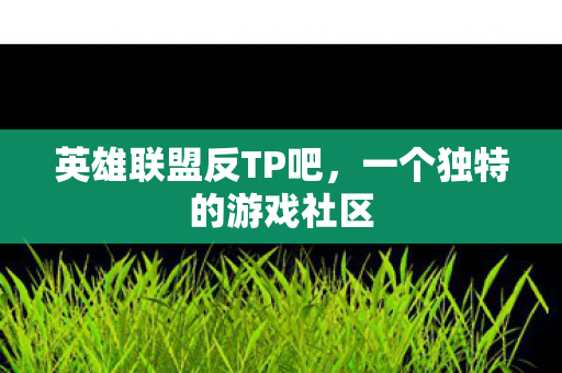 一个独特的游戏社区图片