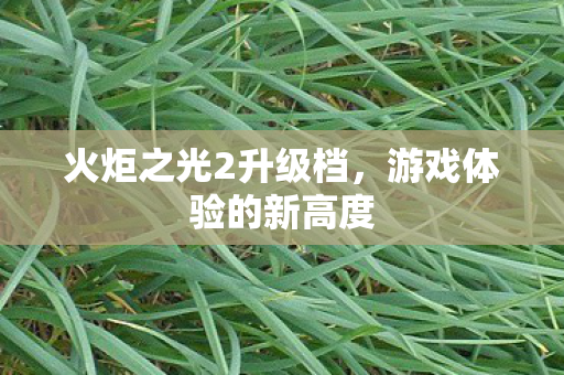 火炬之光2升级档图片
