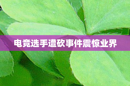 电竞选手遭砍事件震惊业界图片