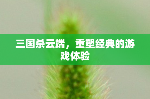 重塑经典的游戏体验图片