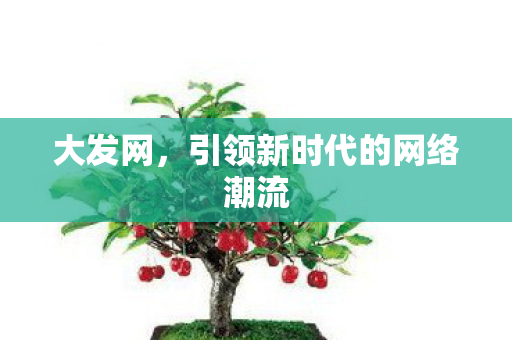 引领新时代的网络潮流图片
