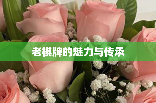 老棋牌的魅力与传承图片
