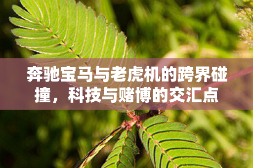 奔驰宝马与老虎机的跨界碰撞图片