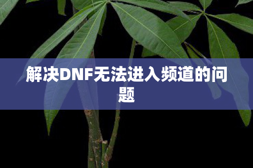 解决DNF无法进入频道的问题图片