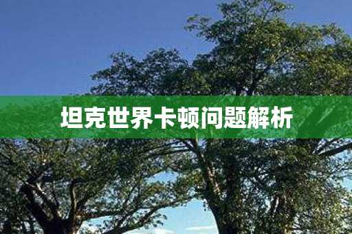 坦克世界卡顿问题解析图片